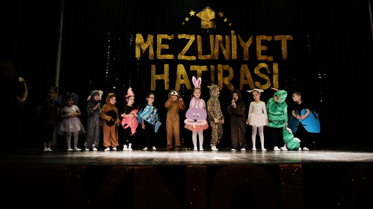 Anaokulu — Tarih ve Teknoloji Koleji